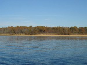 pine ridge from the water