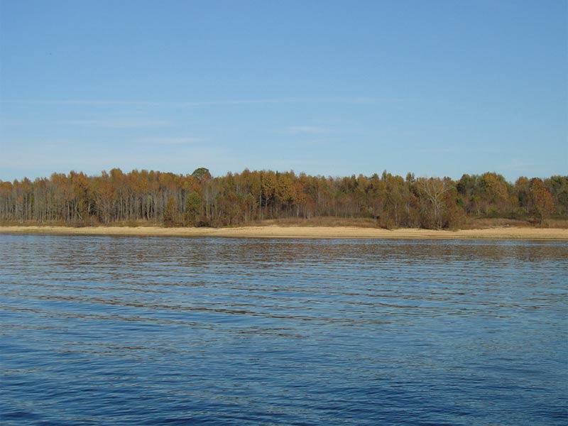pine ridge from the water